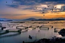 北流伴游中国网景点丰富(旅游网介绍)