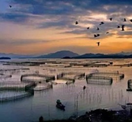 北流伴游中国网景点丰富(旅游网介绍)