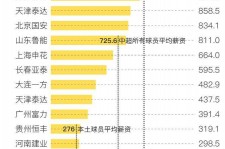 北流关于伴游小丽中国足球的信息