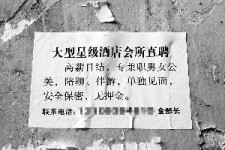 北流珠海伴游雇用网(珠海游览社雇用信息)