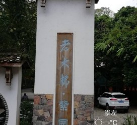北流关于伴游中国伴游你们伴得是什么游的信息