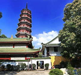 北流广州自由行(广州 自由行)