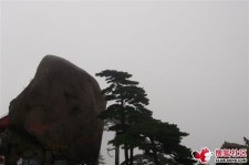 北流上海伴游私家陪游雇用女模(上海伴游私家陪游雇用女模特)