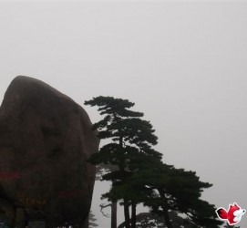 北流上海伴游私家陪游雇用女模(上海伴游私家陪游雇用女模特)