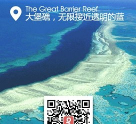 北流中国250家旅行社结伴游新西兰(新西兰当地旅行社)
