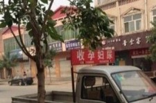 北流上海伴游 用伴游造句大全(5