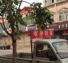 北流上海伴游 用伴游造句大全(5