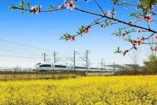 北流高铁游(高铁游戏下载手机版)