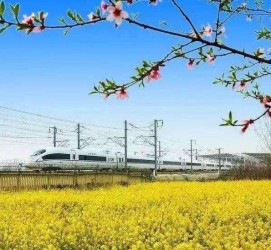 北流高铁游(高铁游戏下载手机版)