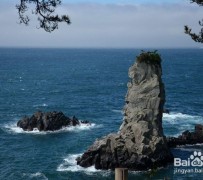 北流旅游全攻略(上海旅游全攻略)