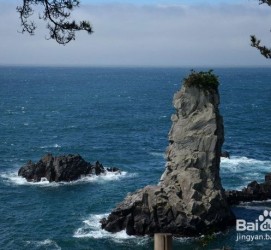 北流旅游全攻略(上海旅游全攻略)