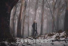 北流上海私人伴游 上海伴游，上海兼职伴游安全吗