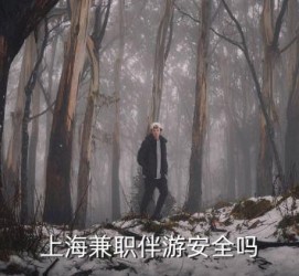北流上海私人伴游 上海伴游，上海兼职伴游安全吗