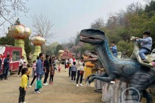 北流中国伴游带你打卡网红南山竹海(南山竹海网上预约)