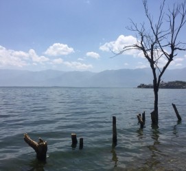 北流洱海旅游攻略(洱海旅游攻略自由行)