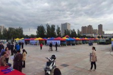北流通辽伴游雇用(哈尔滨伴游雇用)