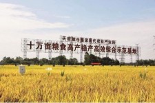 北流关于成都商务伴游外围雇用的信息
