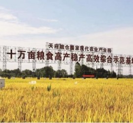 北流关于成都商务伴游外围雇用的信息