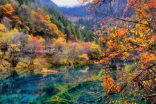 北流四川旅游攻略(四川旅游攻略十五日游)