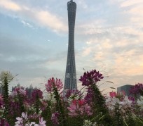 北流广州旅游攻略(杭州到广州旅游攻略)
