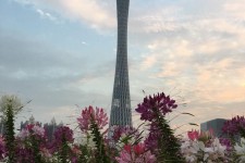 北流广州旅游攻略(杭州到广州旅游攻略)