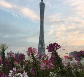 北流广州旅游攻略(杭州到广州旅游攻略)