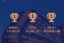 北流上海私人伴游 ​ “小而美”的新时代：2020年国内新跟团消费报告