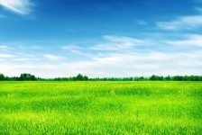 北流上海伴游 上海模特伴游微信号的交友宣言