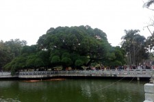 北流福州旅游攻略(福州旅游攻略二日游)