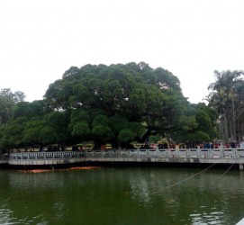 北流福州旅游攻略(福州旅游攻略二日游)