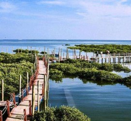 北流旅游哪里好玩(云南旅游哪里好玩)