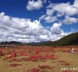 北流旅游去处(暑期最好的旅游去处)