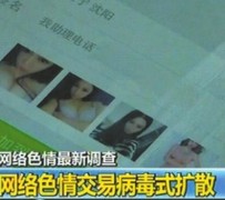 北流上海伴游 伴游女郎白天陪玩晚上陪睡 网络跑火日薪过万(图)