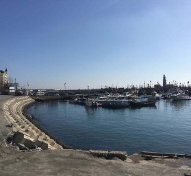 北流大连旅游攻略(大连旅游攻略自由行)