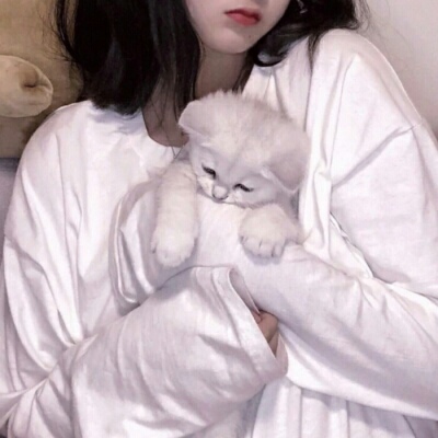 北流伴游女生蕾鮑的资料